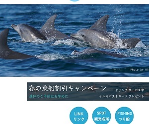 dolphincruise20160323.jpg